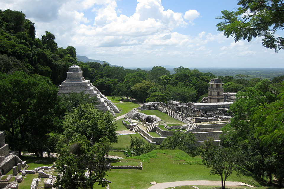Die Maya-Ruine Palenque inmitten des mexikanischen Regenwaldes