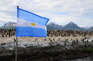 Pinguinkolonie in Feuerland, Argentinien