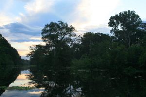 Amazonas bei Iquitos