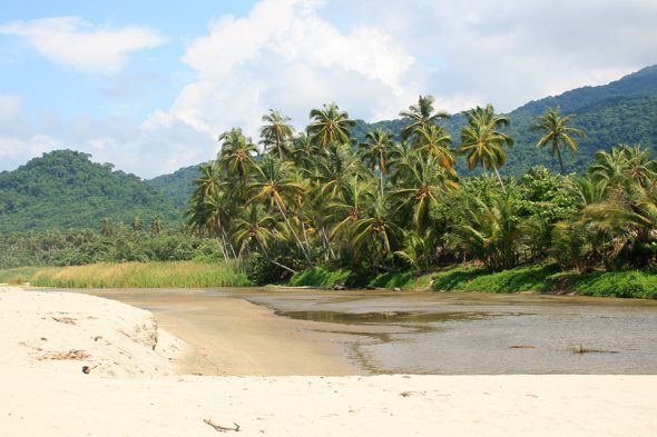 Palmen und Strand im Tayrona-Nationalpark, Kolumbien