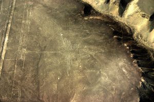 Kolibri – Nazca-Linien, Peru