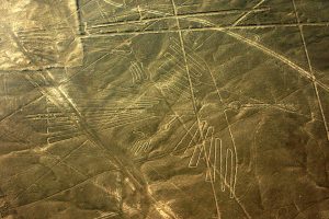 Vogel – Nazca-Linien, Peru